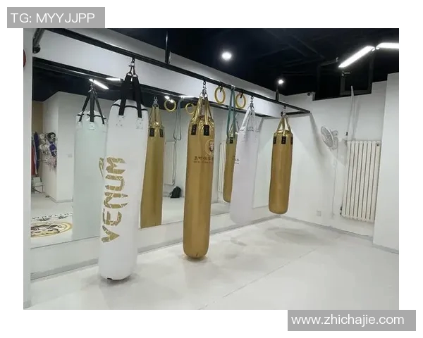 学校体育健身器材名称大全助力学生健康成长与体能提升的必备装备